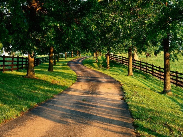 ip攻击器网页版